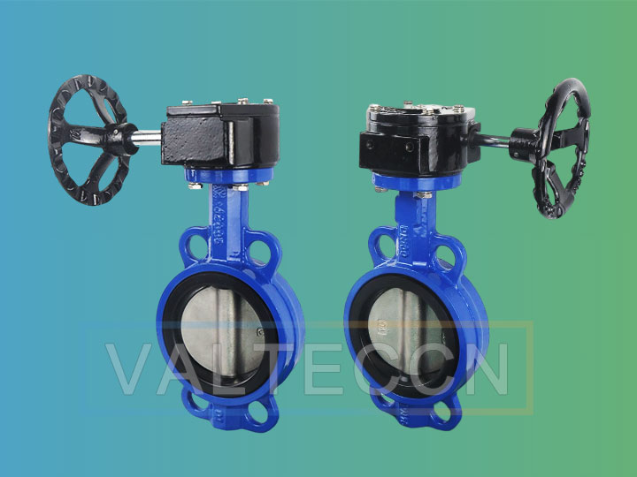 Imagem de referência: Butterfly Valve DN100